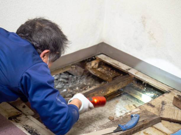 Best Mold Removal Process  in Anadarko, OK