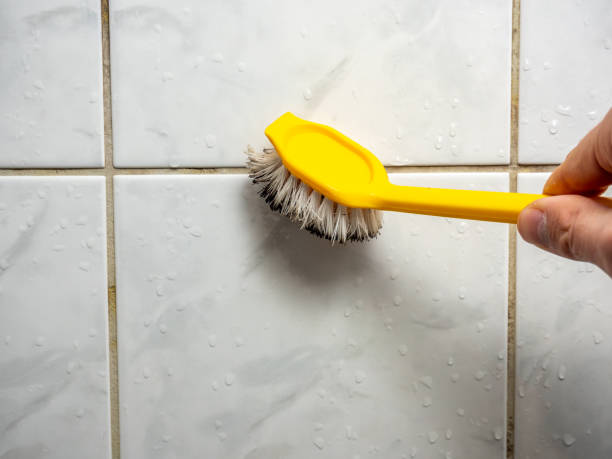 Best Residential Mold Removal  in Anadarko, OK