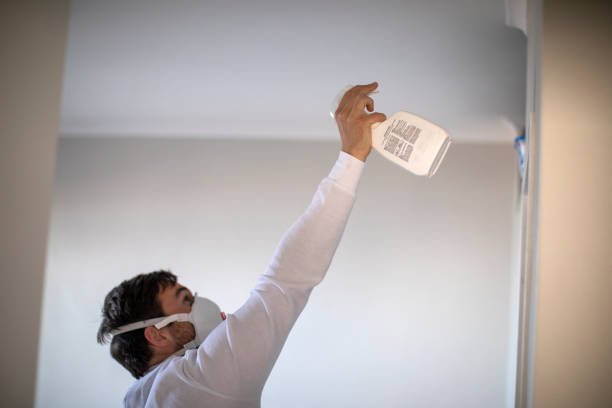 Professional Mold Removal in Anadarko, OK