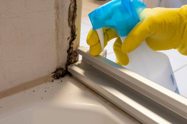 Best Crawl Space Mold Removal  in Anadarko, OK