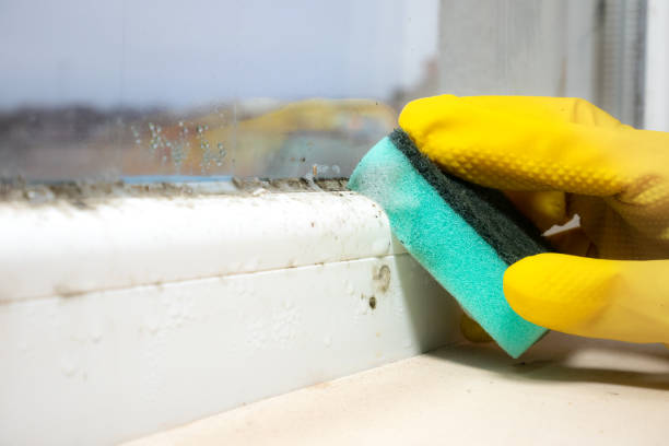 Best Mold Cleaning Services  in Anadarko, OK