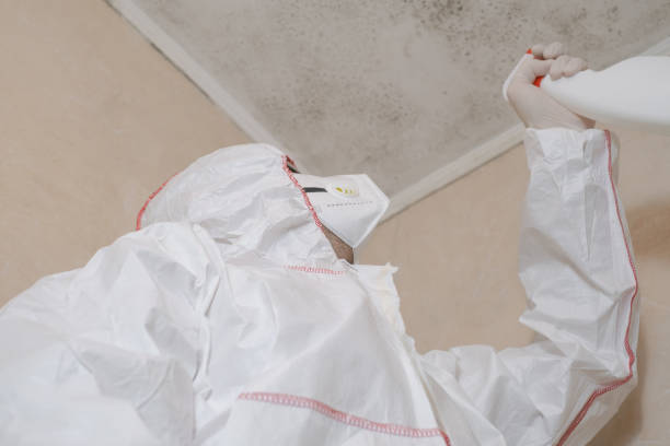 Best Emergency Mold Removal  in Anadarko, OK