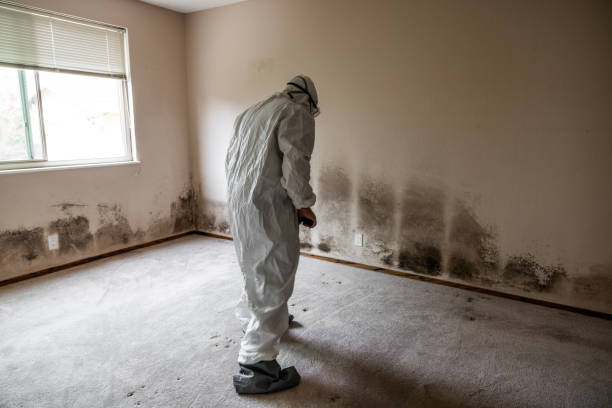 Best Black Mold Removal  in Anadarko, OK